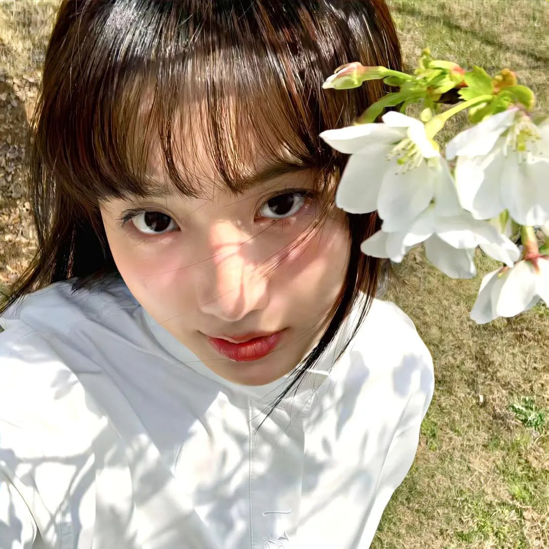 布朗蒂姊妹